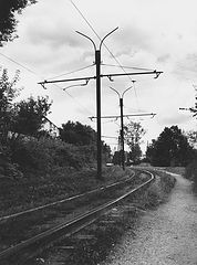 photo "***"
