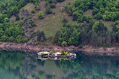 photo "***"