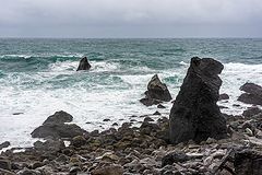photo "Ocean Shore 2"