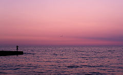 photo "***"