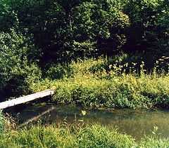 photo "***"