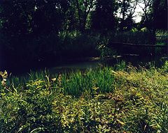 photo "***"