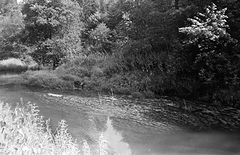 photo "***"
