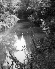 photo "***"