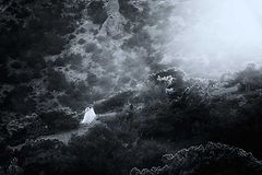 photo "***"