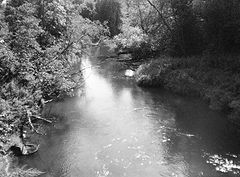 photo "***"