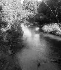 photo "***"
