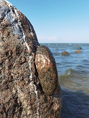 фото "Скалолаз"