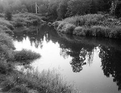 photo "***"