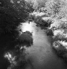 photo "***"