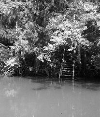 photo "***"