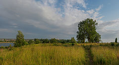 photo "***"