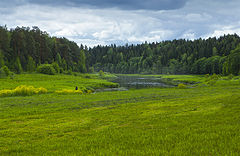 фото "На рыбалке"