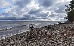 photo "Their World. under the cliff of Valaste"