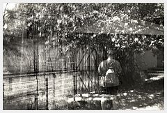 photo "***"