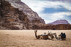photo "Wadi Rum 4"