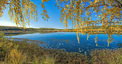 фото "Желтая осень"