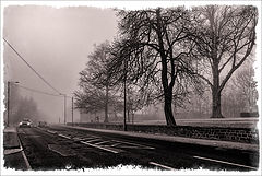 photo "In the Fog"