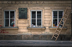 фото "У чёрного Льва"