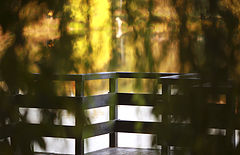 photo "***"