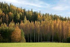 photo "***"