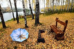 фото "Голубой зонт на золотых листьях"