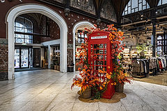 photo "The famous English Red Telephone Box"