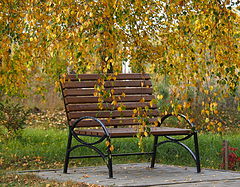 фото "Скамейка и осень"