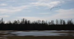 photo "***"