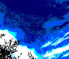 photo "***"