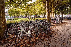 photo "Bicycle Victory"