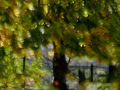 photo "***"