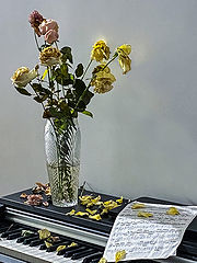 photo "***"