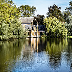 photo "At the Lake of Love"