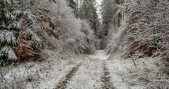 фото "Заснежило"