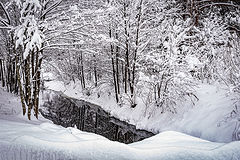 фото "Снег выпал 5"