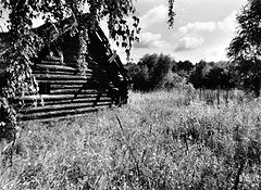photo "***"