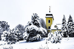фото "Снег выпал 6"