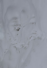 photo "***"