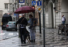 photo "Under the umbrella"