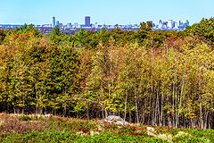 photo "Boston on the Horizon"