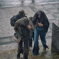 фото "Застигнутые врасплох"
