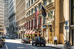 photo "Everyday Boston 2"