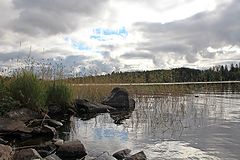 фото "мне  бы в лето..."
