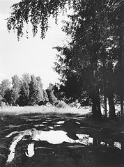 photo "***"