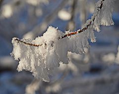 фото "Мороз украсил"