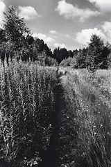 photo "***"
