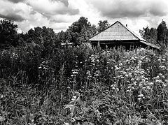 photo "***"