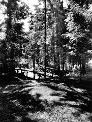 photo "***"