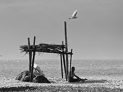 photo "***"
